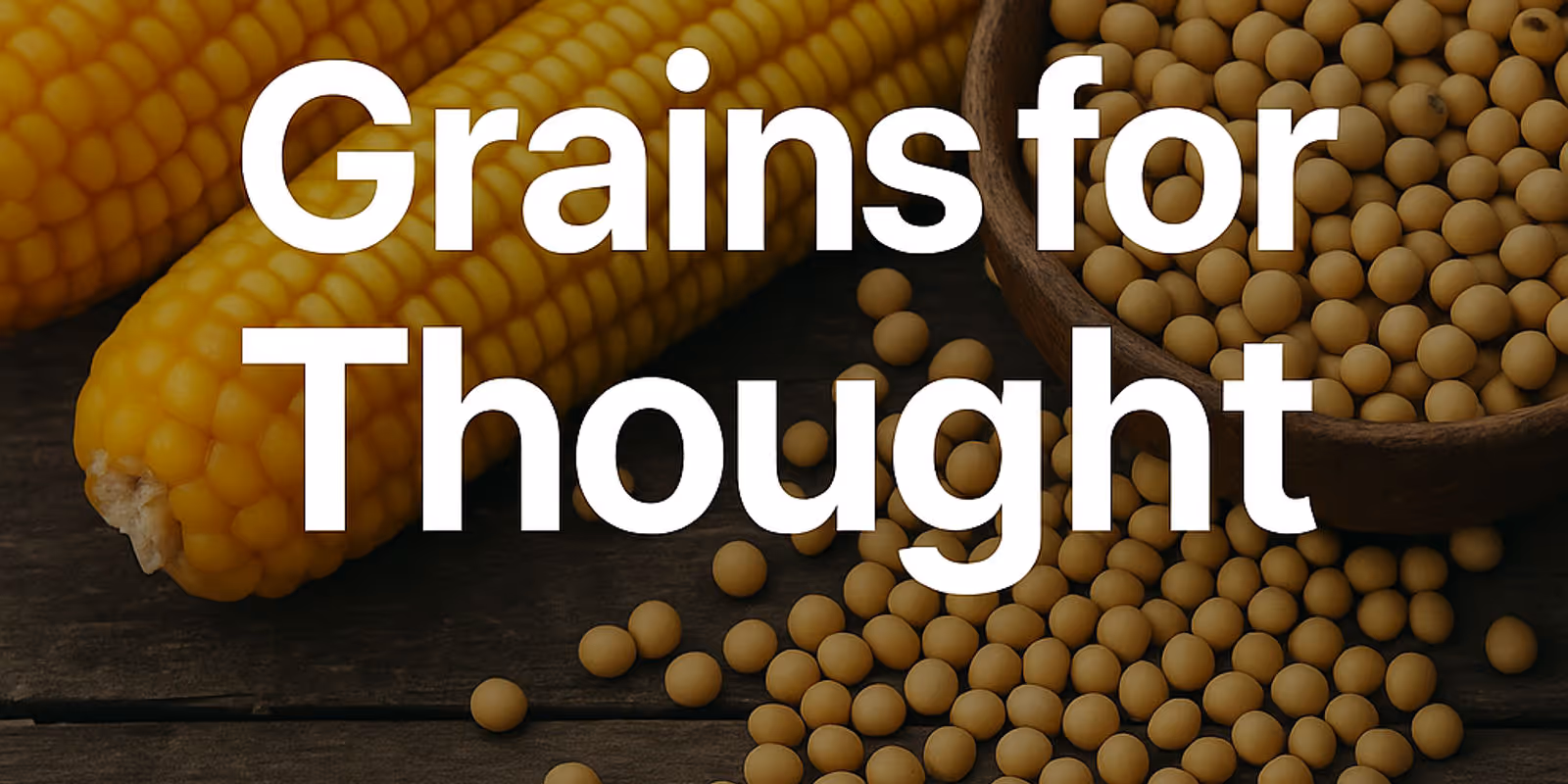 Grains for Thought: Post-USDA September 2025 Crop Production Report