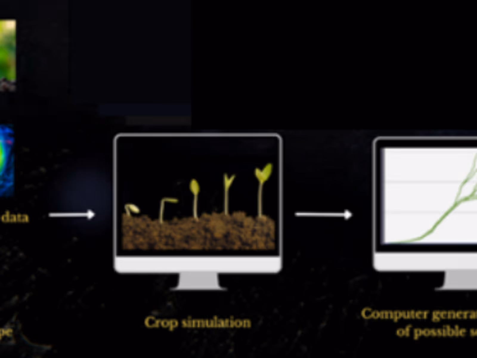 Crop Yield Estimator