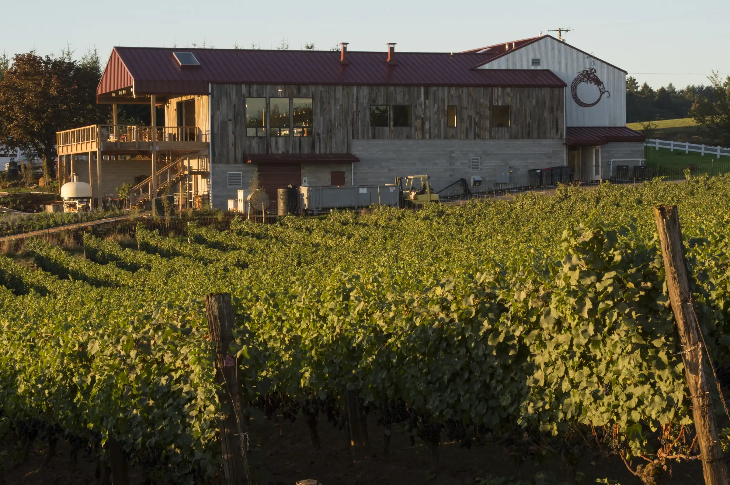 Brooks Wine in Amity, Willamette Valley. Photo: Andrea Johnson