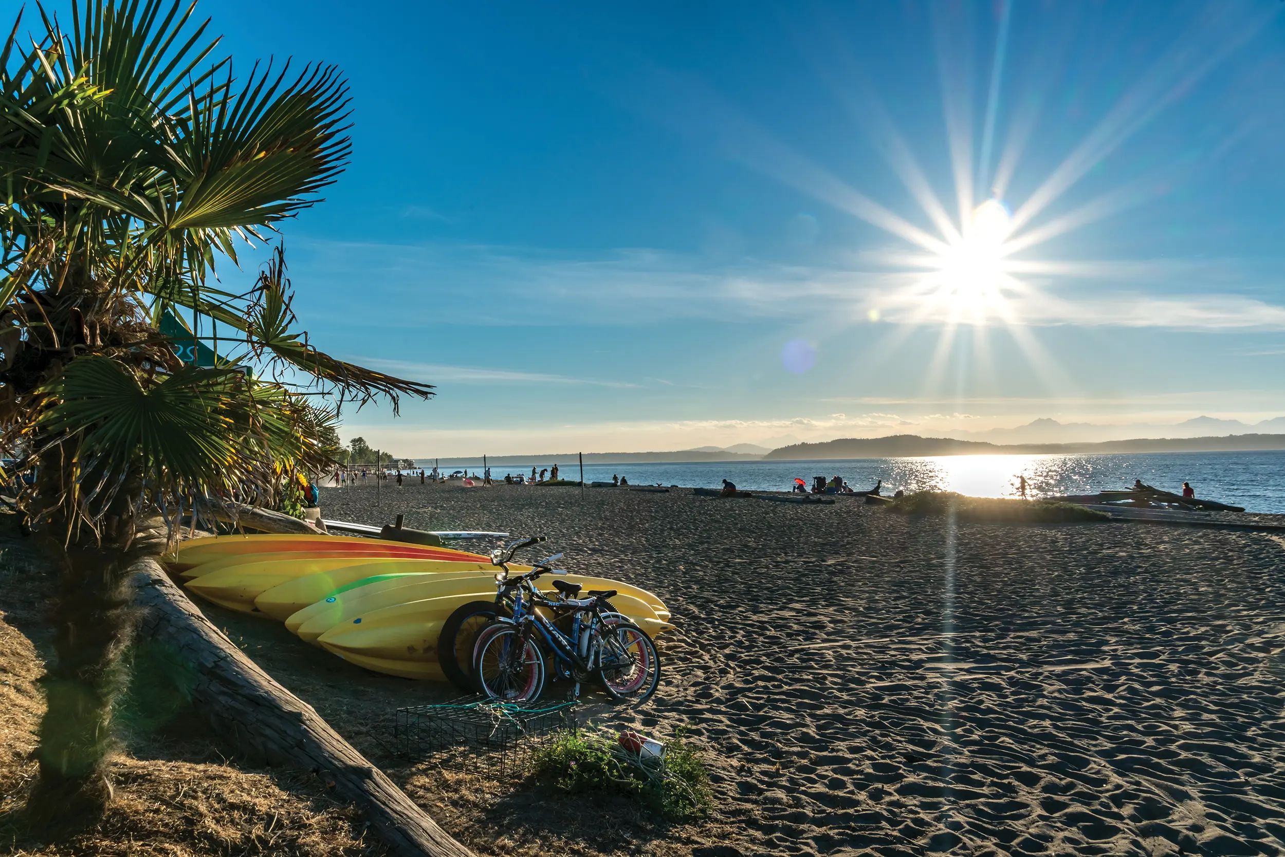 Aldi Beach Park | Photo: Alabastro Photography