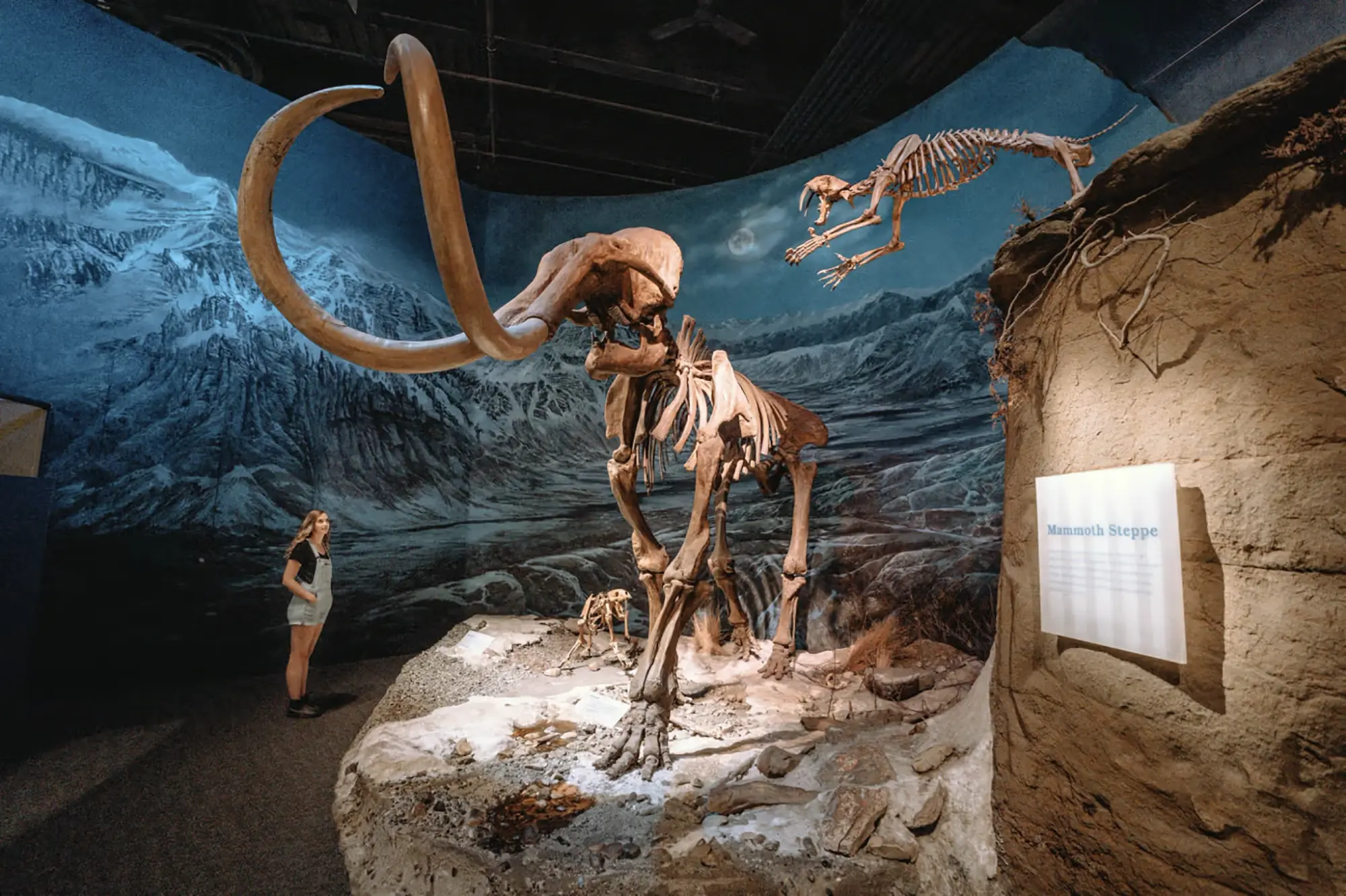 Royal Tyrrell Museum in Drumheller, AB | Photo: Travel Alberta