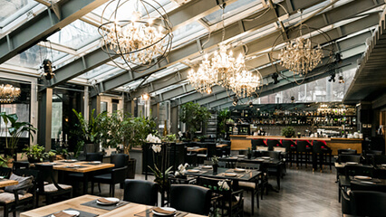 Commercial Pest Control