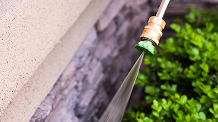 General Pest Control Services