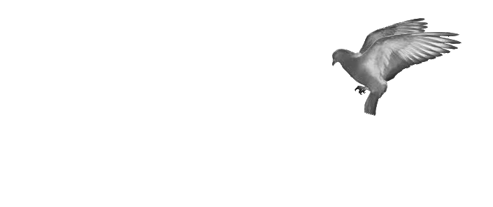 Rid-A-Bird