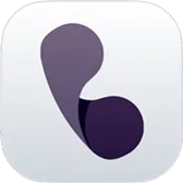 App icon with abstract shapes forming a stylized letter B on a light gray rounded square background.