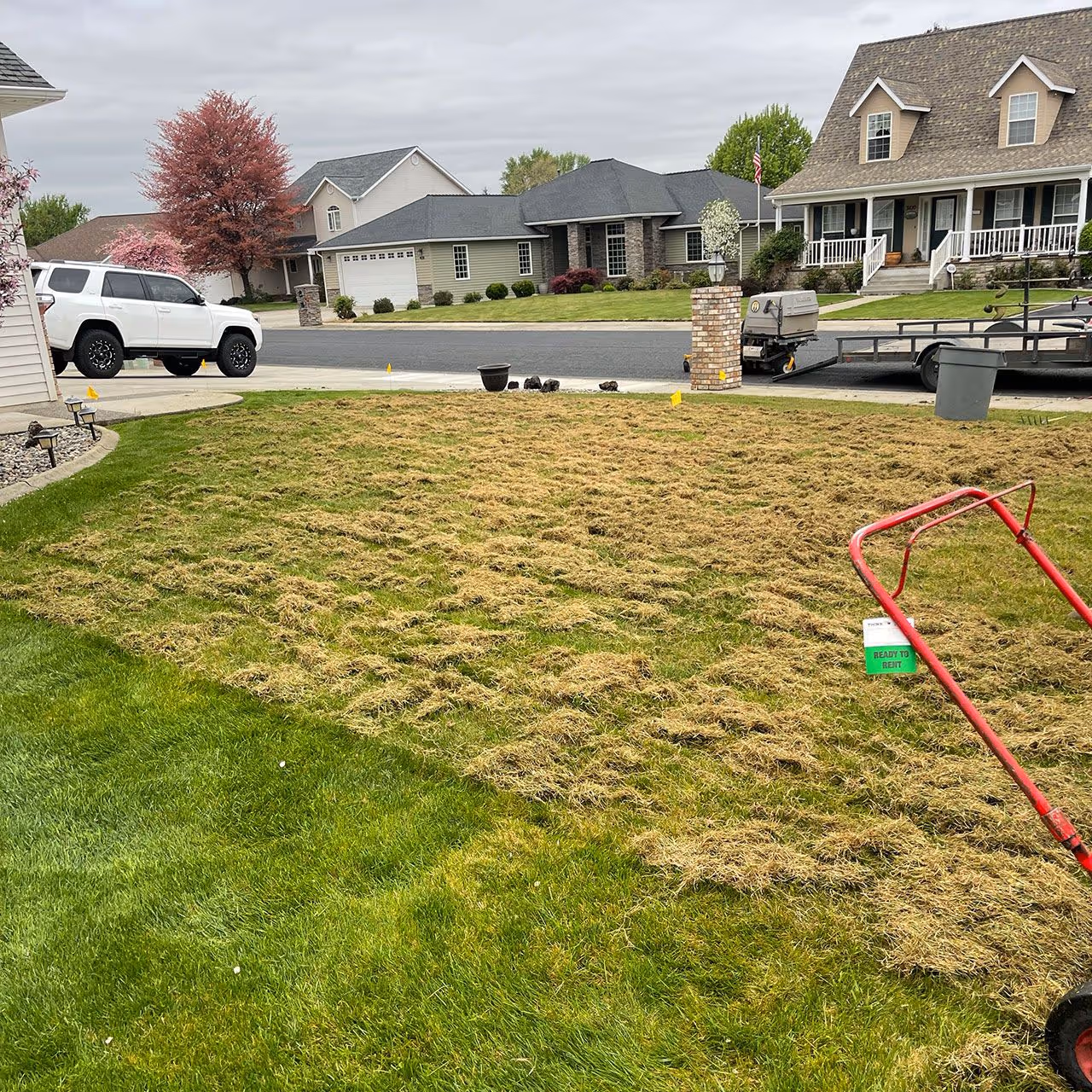 Seasonal lawn maintenance program for healthy green grass