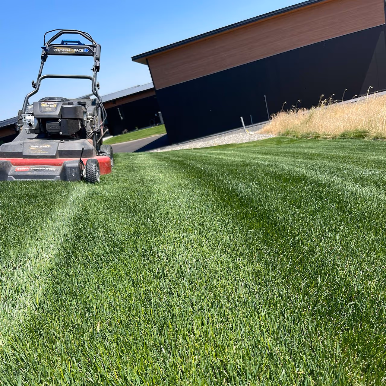 Commercial lawn mowing for business property maintenance