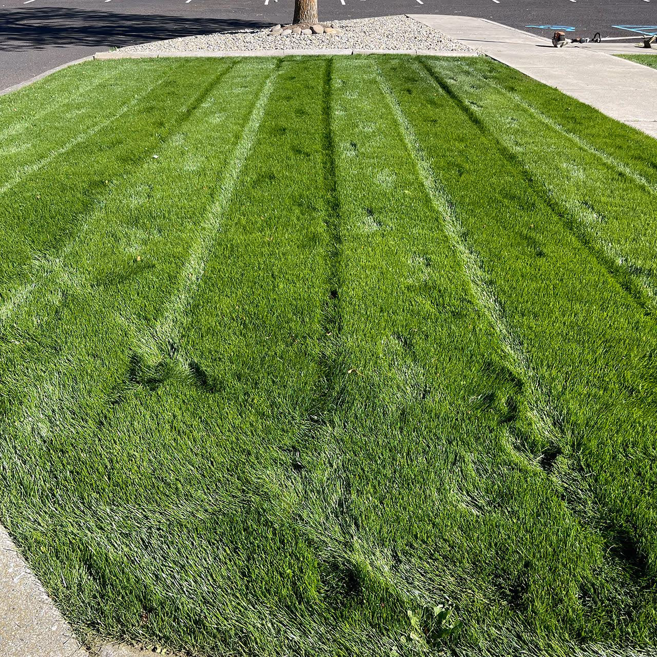 Lawn mowing service by Two Rivers Lawn Care & Landscaping in Lewiston, Idaho
