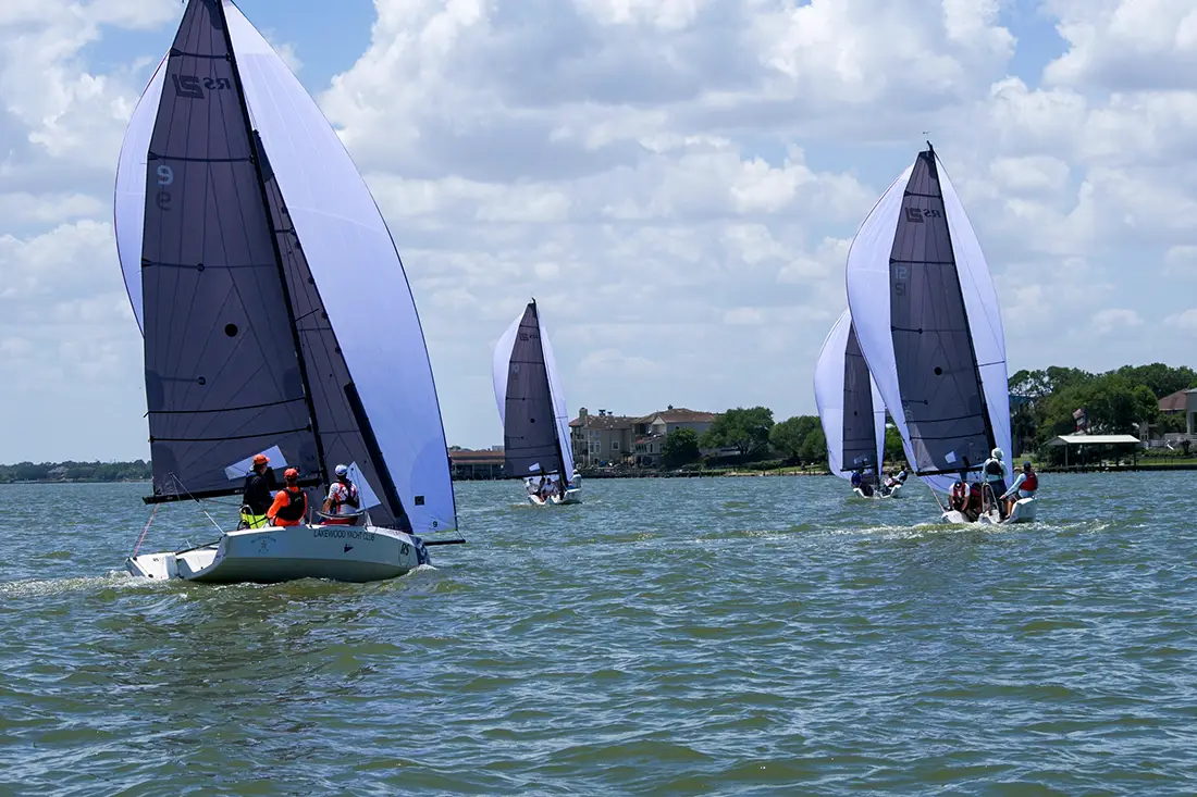 Several sailboats with white sails racing on a sunny day on a body of water near a shoreline with houses and trees.