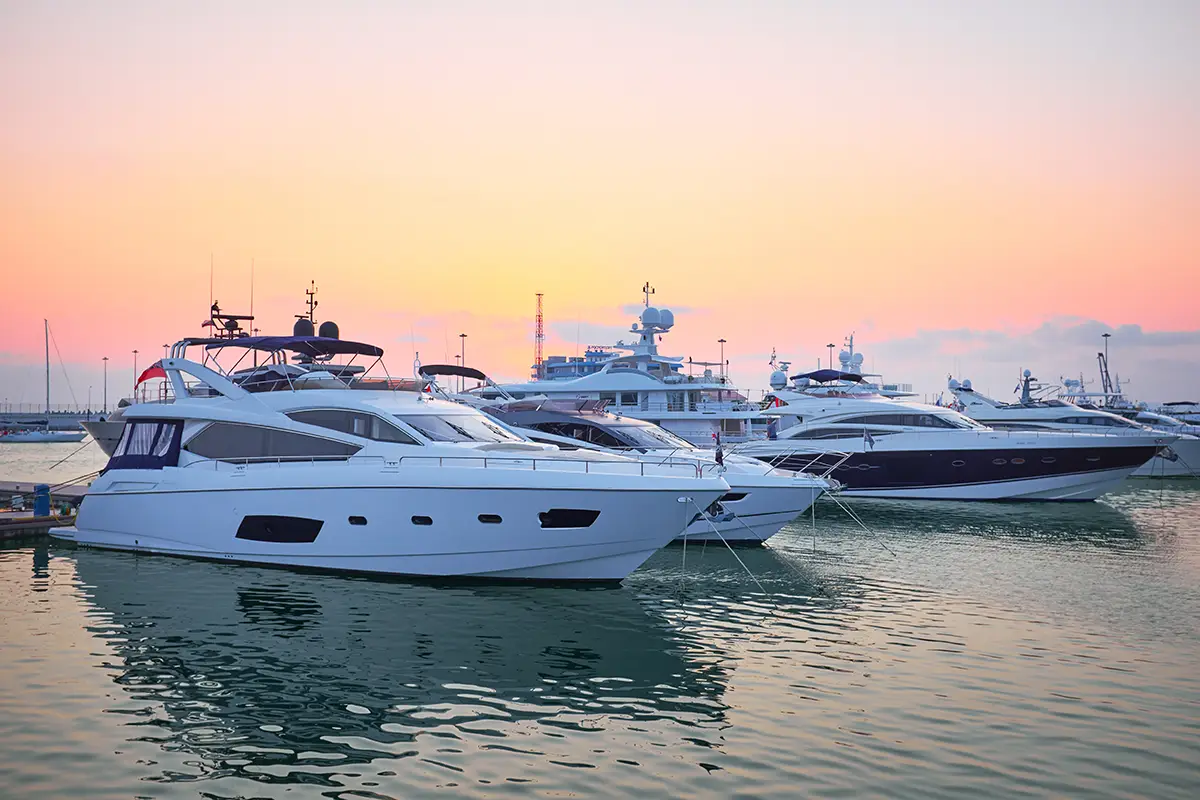 Several luxury yachts docked at a marina during sunset with calm water reflecting the boats.