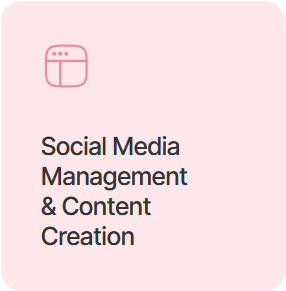 Social Media Management & Content Creation