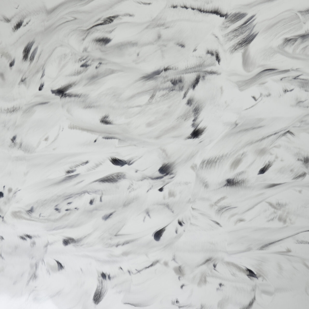 Pile of small, irregularly shaped flakes in various brown, black, and gray tones arranged in a circle.