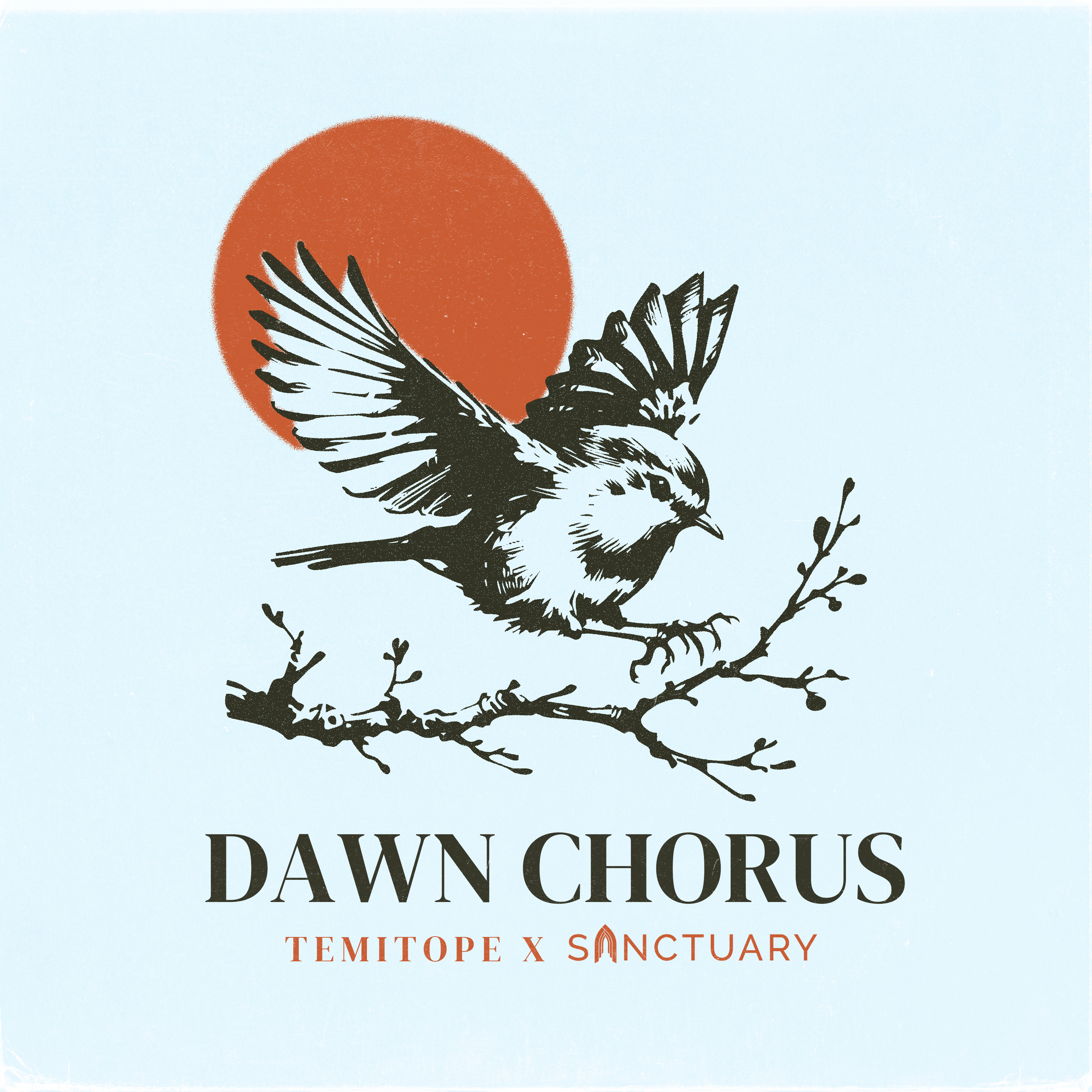 DAWN CHORUS