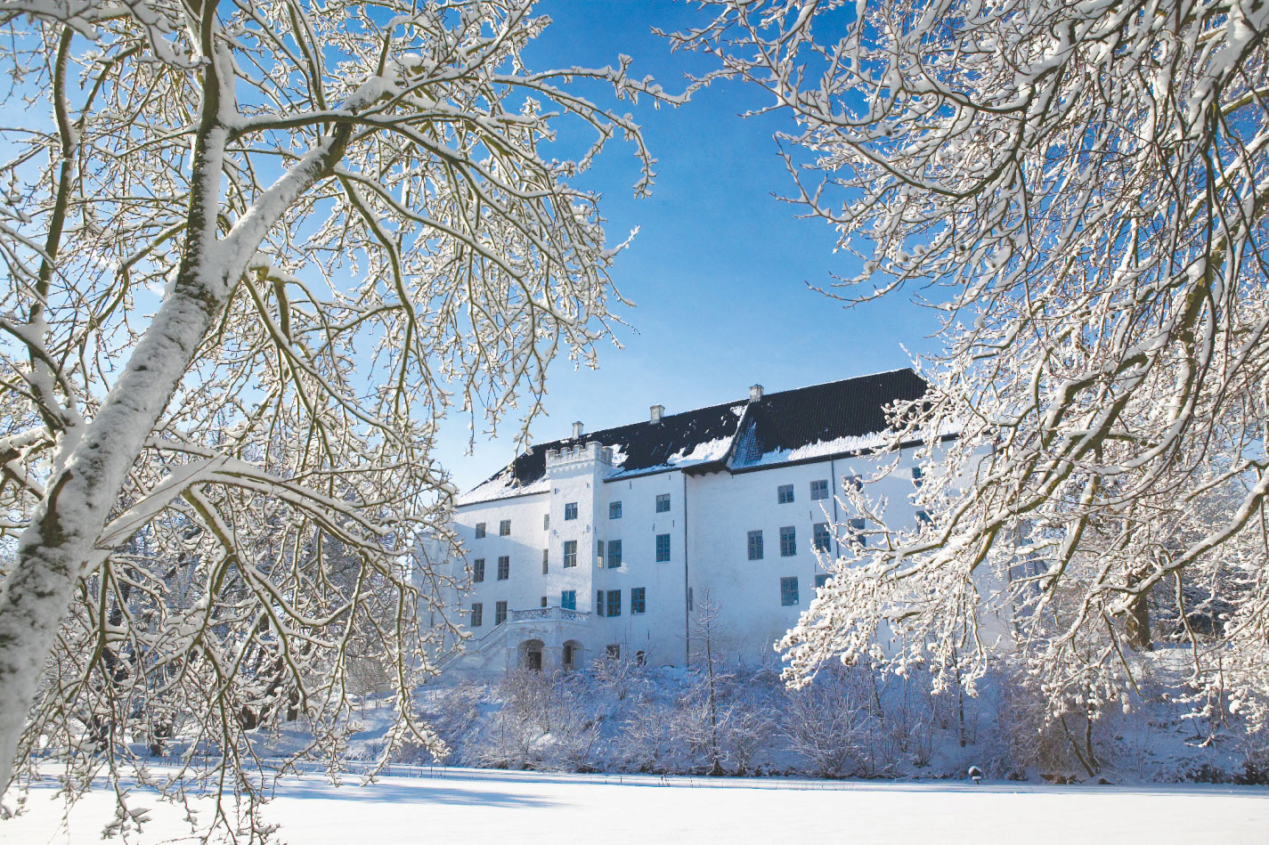 An example of an autumn or winter wedding at the castle