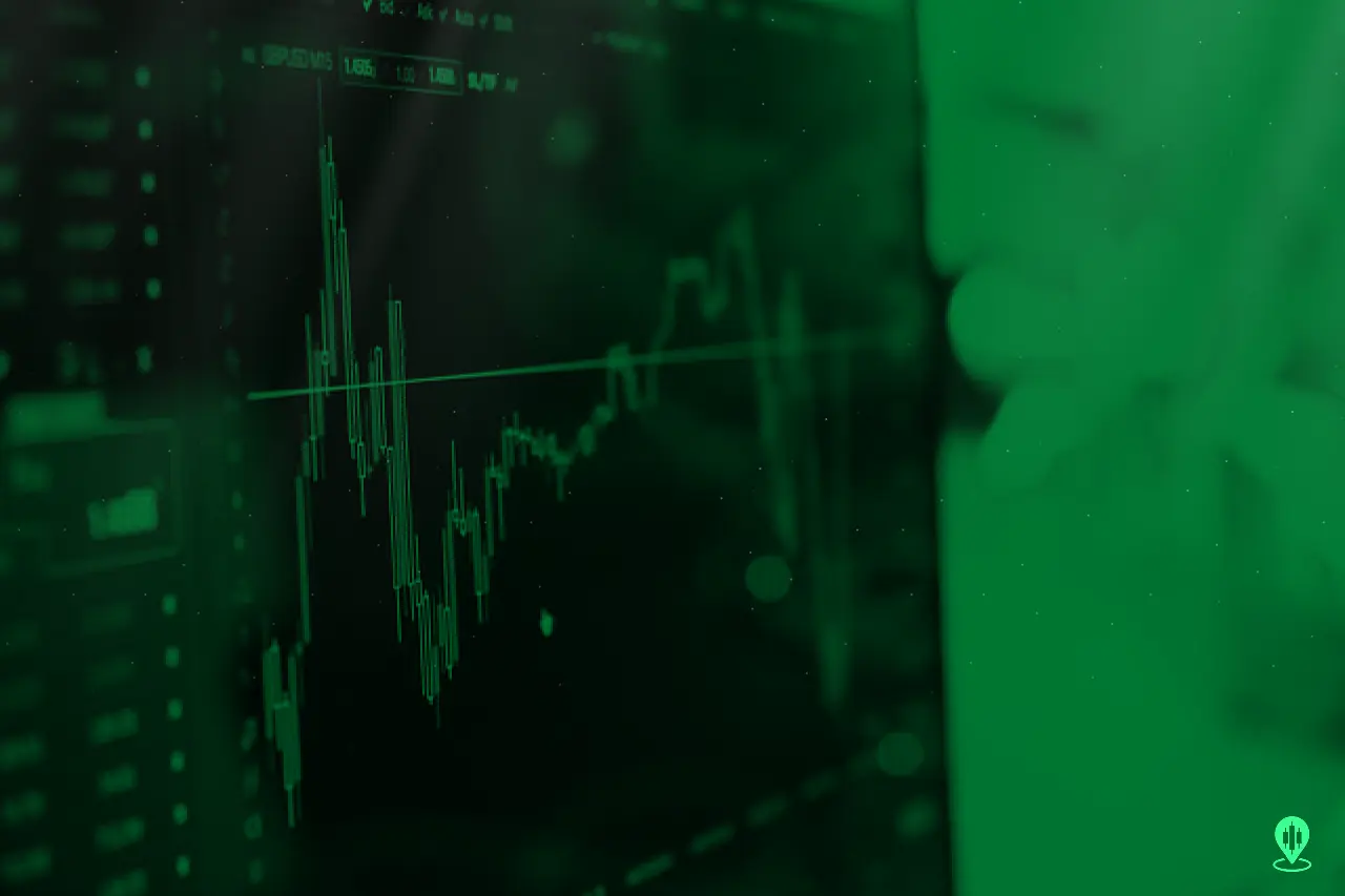 price fluctuations, expected return