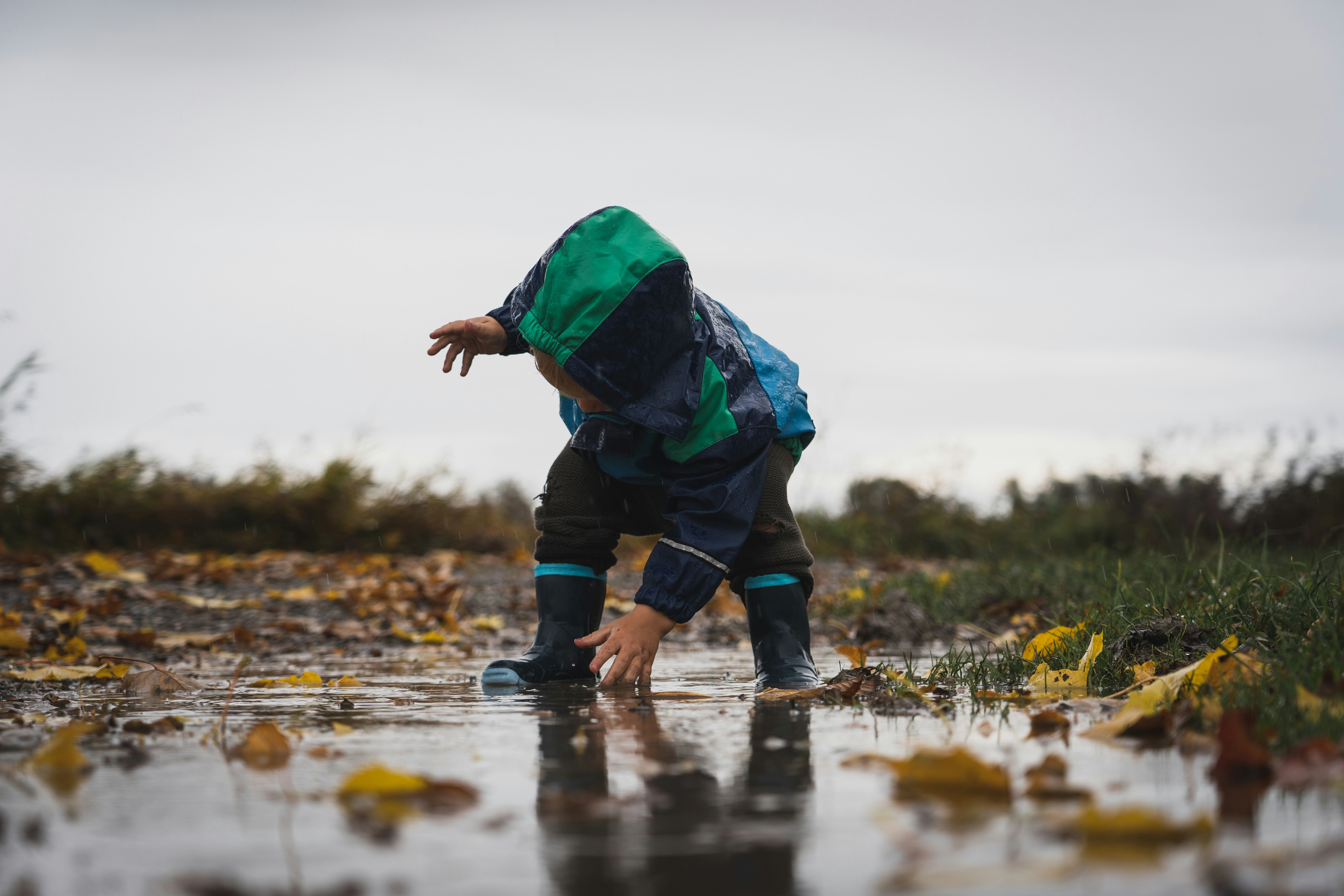 Finding Calm in Nature