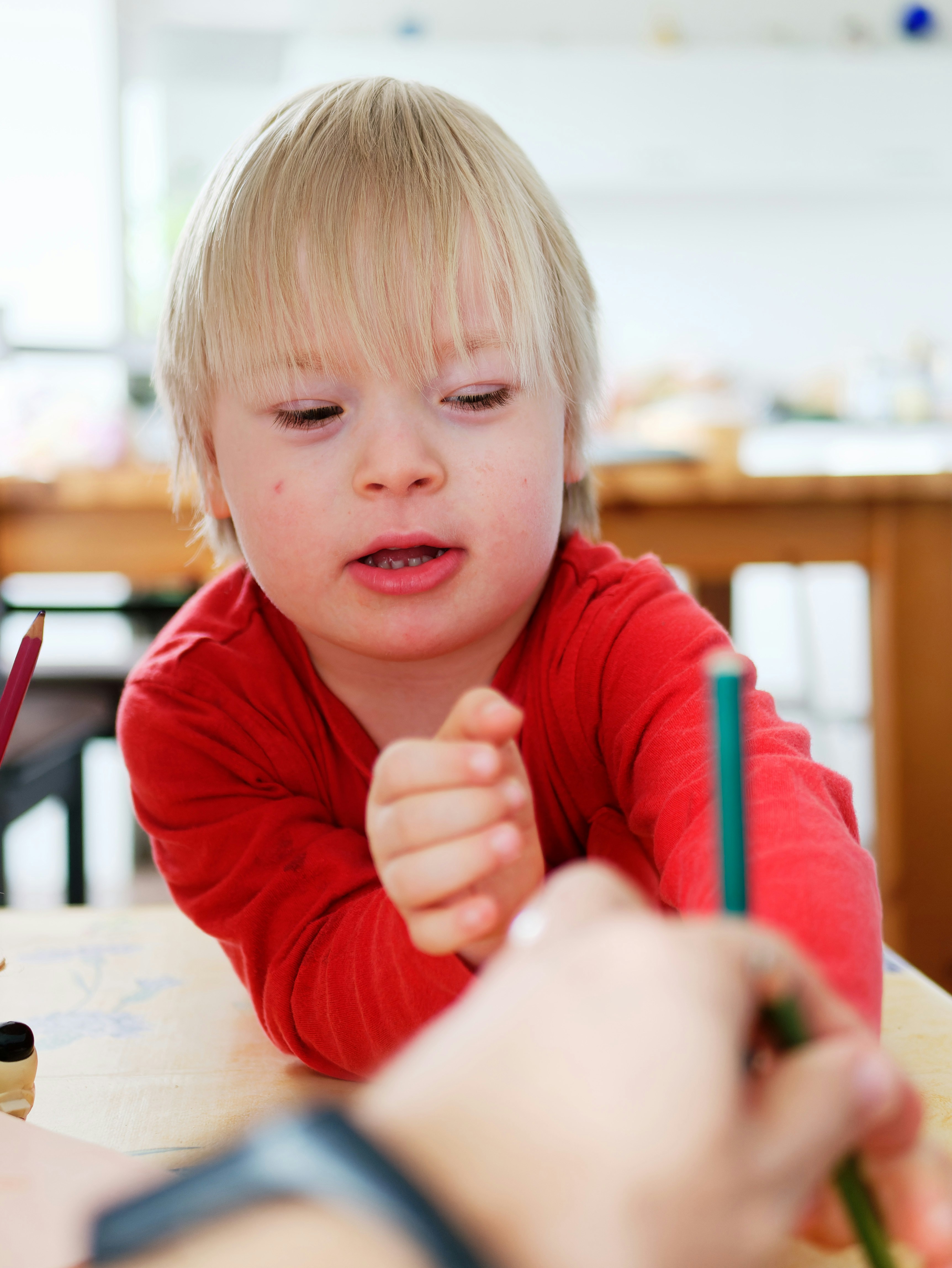 Bioecological theory to practice for children with Down syndrome in New Zealand