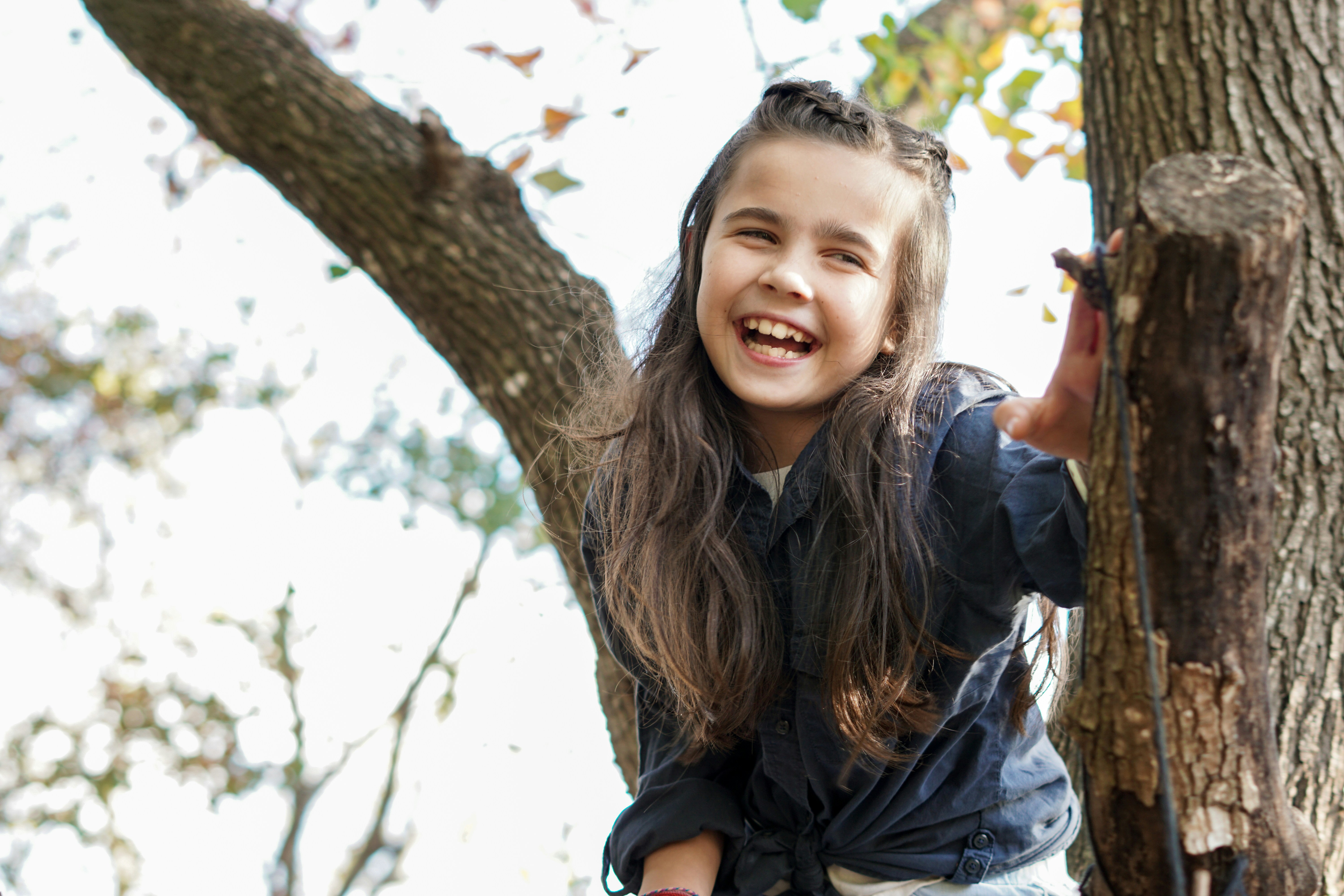 The Quiet Magic of Tree Climbing