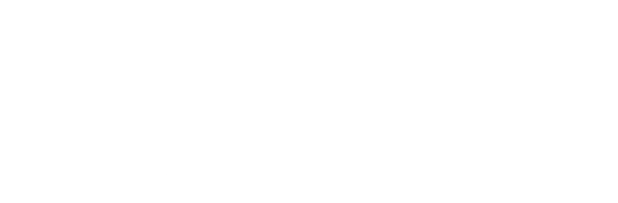 Zota
