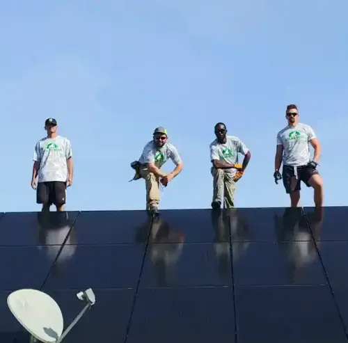 Solar Bear LLC
