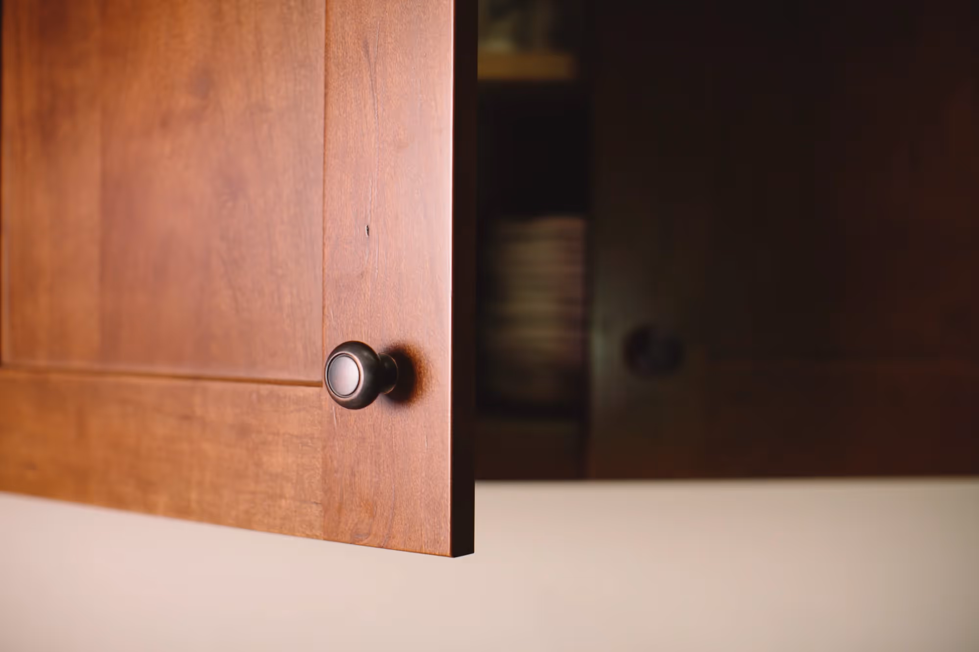 Cabinet door with dark hardware