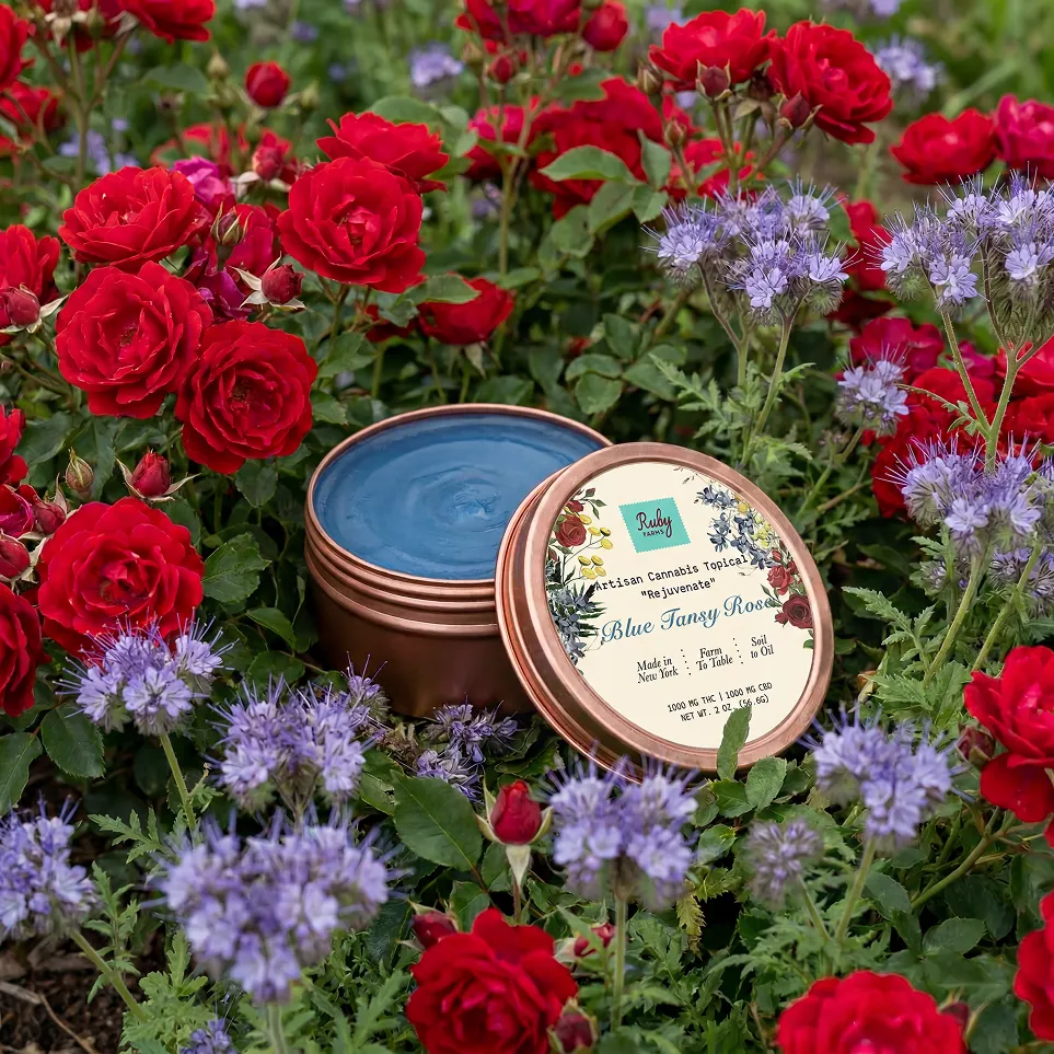 Open jar of blue cannabis topical cream labeled Blue Tansy Rose amidst red and purple flowers in a garden.