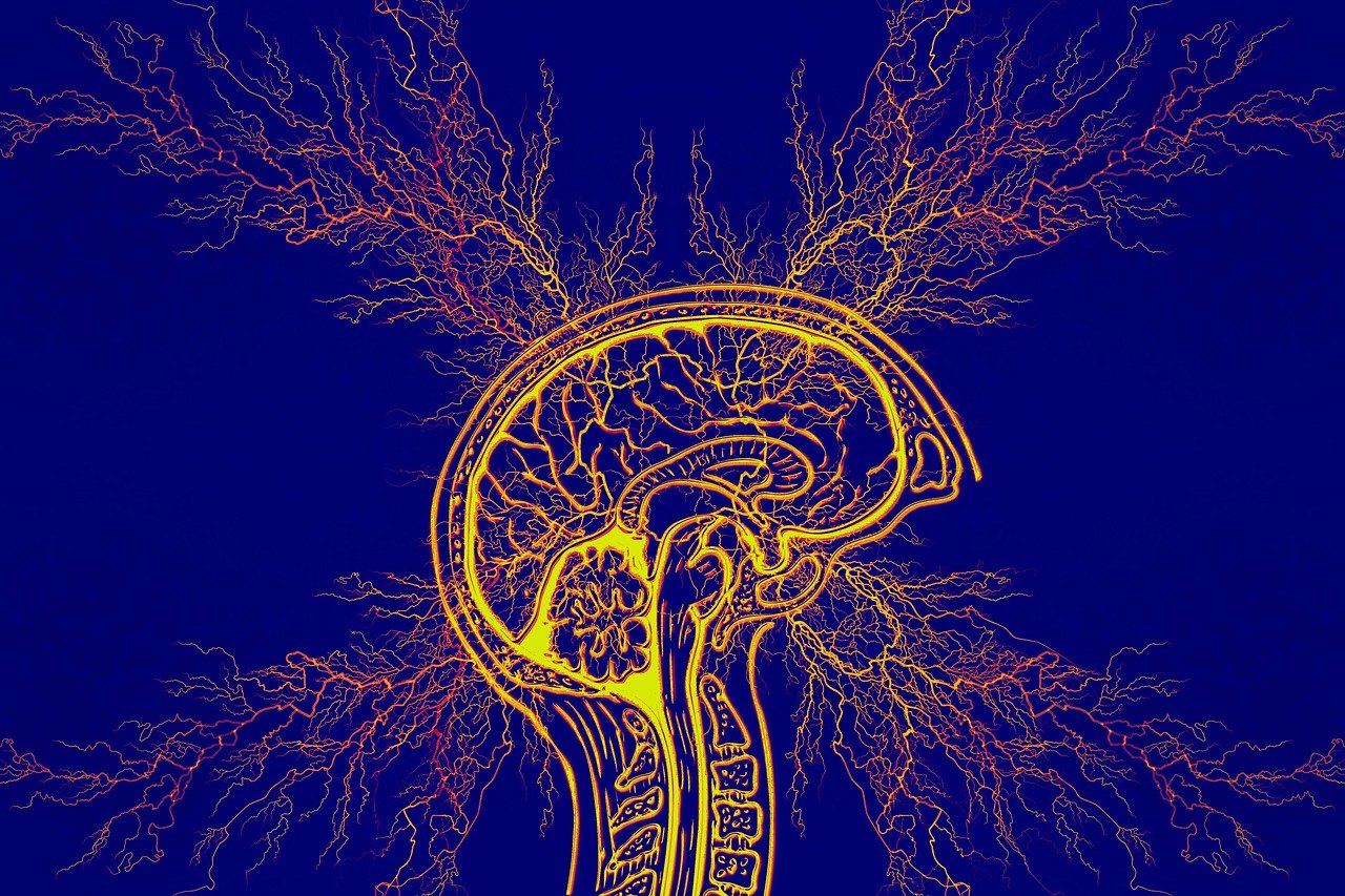 Epilepsy Statistics