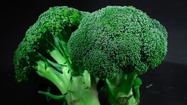 The Link Between Sulforaphane and Autism