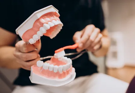 Dummy Teeth Brushing