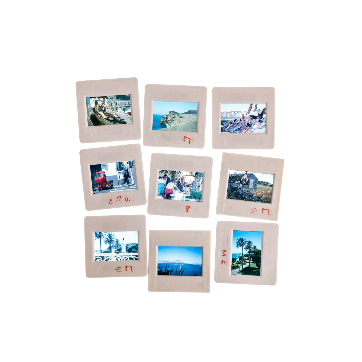 slide scanning calgary