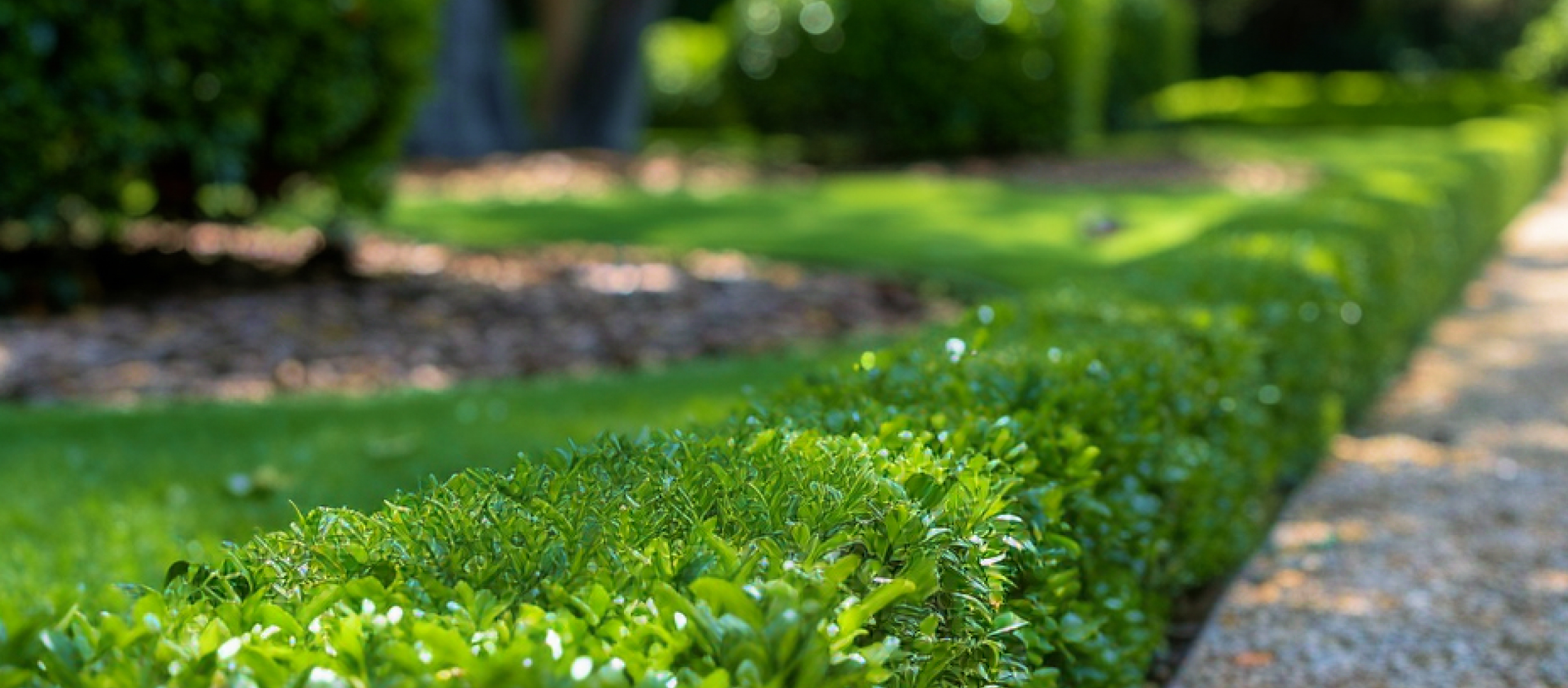 Hardscapes & Structural Elements