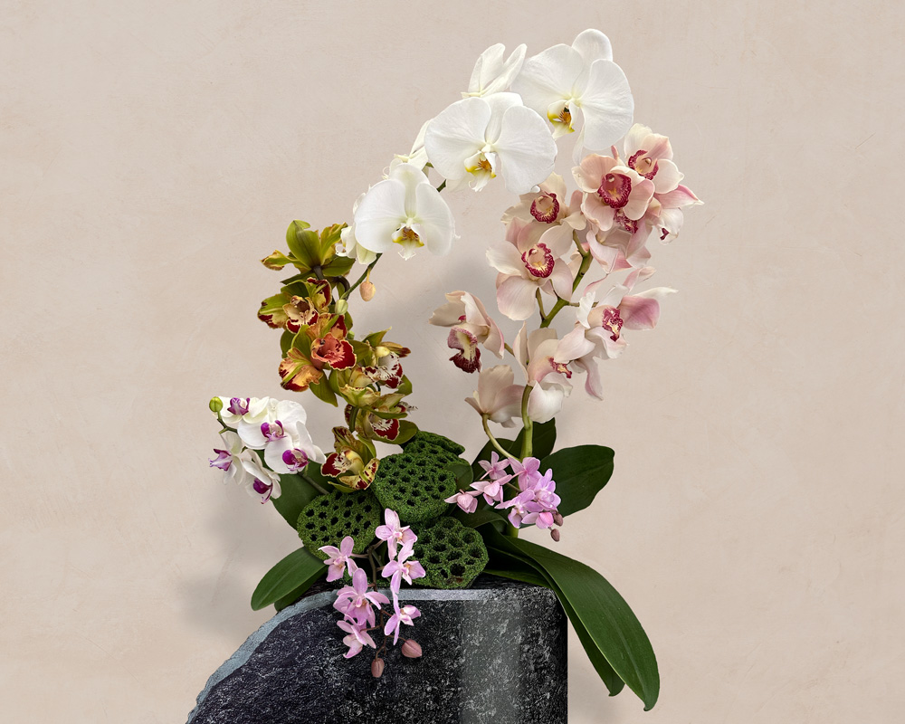 Arrangement of multi-colored orchids with white, pink, yellow, and purple flowers on a dark stone against a beige wall.