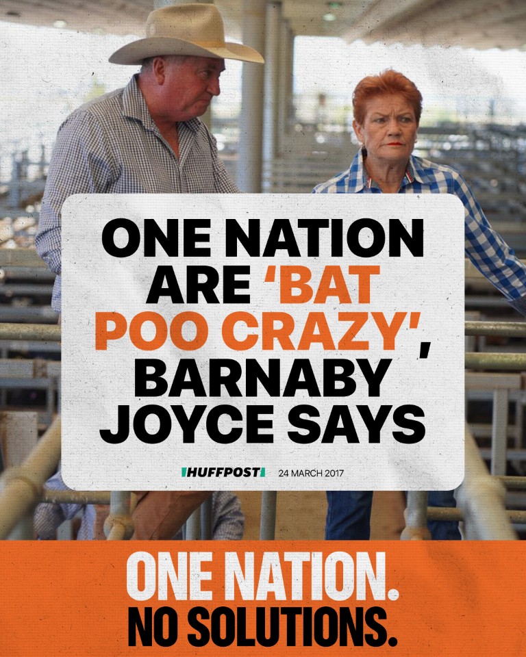 'One Nation are "bat poo crazy", Barnaby Joyce says'