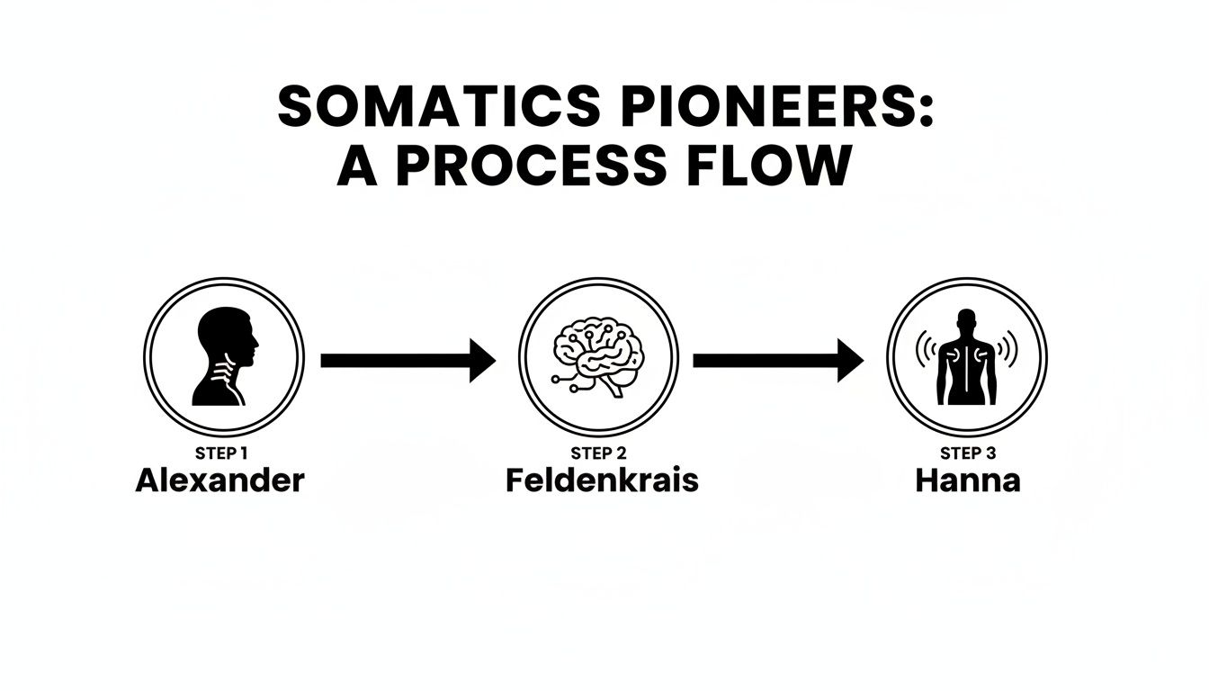 Flowchart illustrating the contributions of Somatics pioneers: Alexander, Feldenkrais, and Hanna.