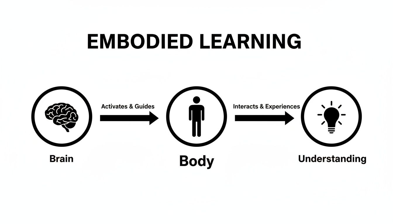 Diagram explaining embodied learning: brain activates body, body interacts to gain understanding.