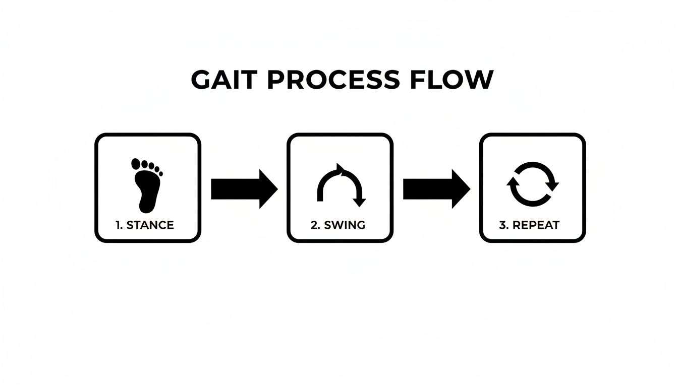 Diagram illustrating the gait process flow with three sequential steps: stance, swing, and repeat.