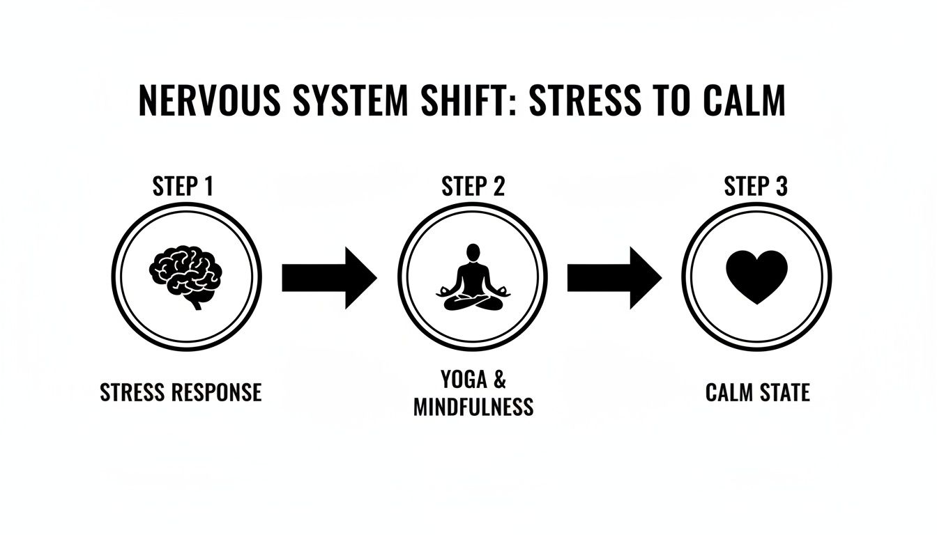 Infographic showing a nervous system shift from stress response to calm state through yoga and mindfulness.