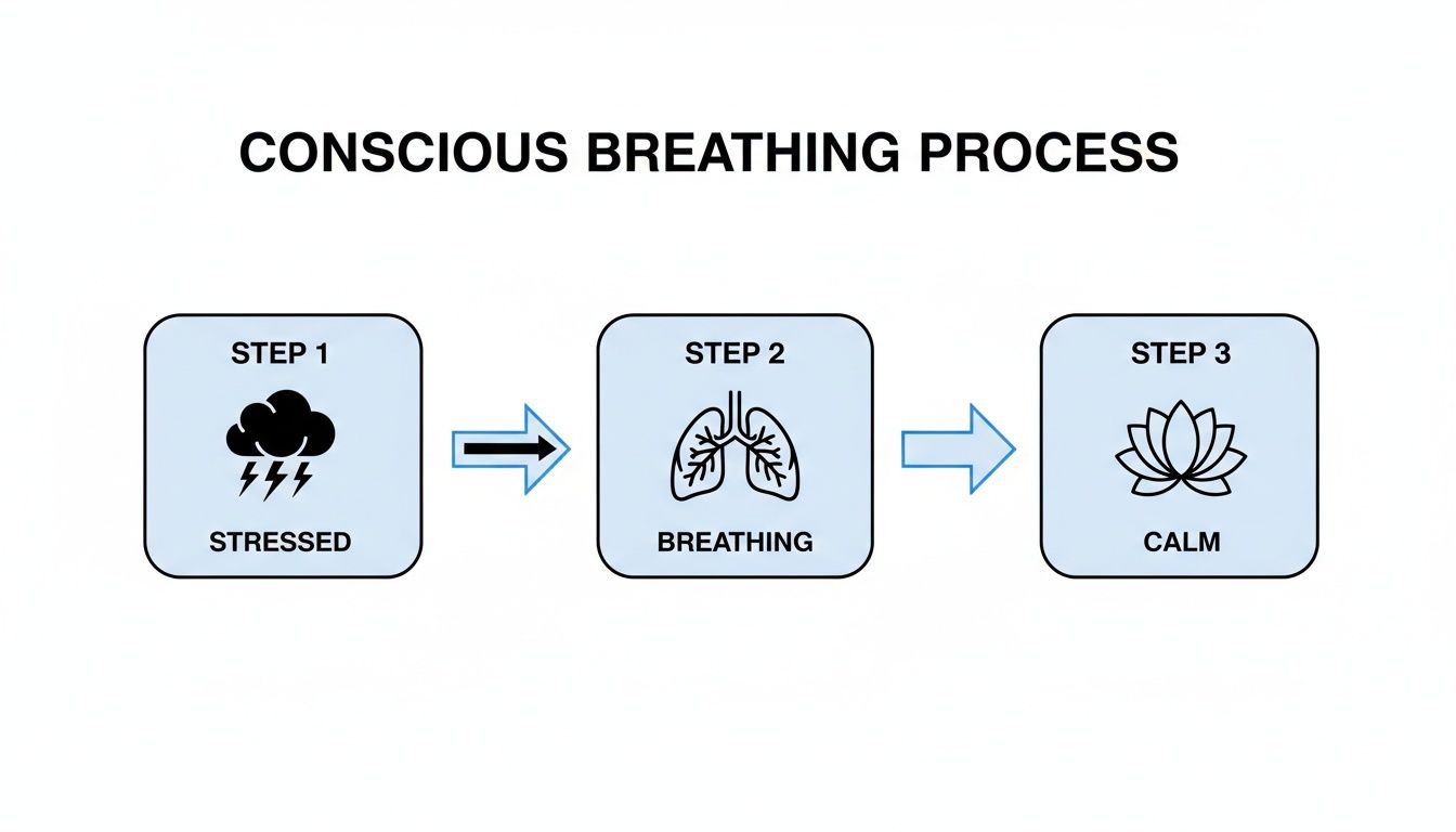 Flowchart illustrating the conscious breathing process, moving from a stressed state to calmness through breathing.
