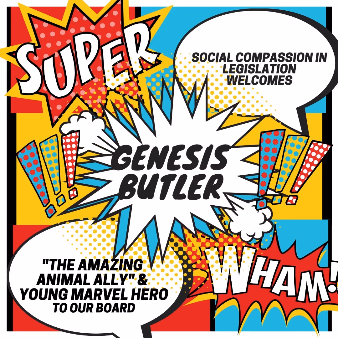 Comic-style graphic: Social Compassion in Legislation welcomes Genesis Butler to its board