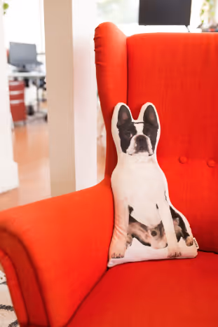 Screen Shot 2016-09-23 at 6.13.44 PM