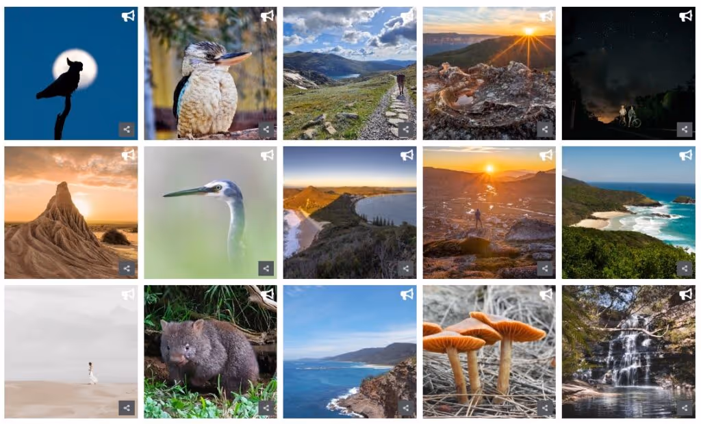 User-generated content submitted to the NSW Parks Photo Competition – featuring beautiful images of birds and landscapes.