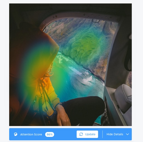 A heat map tracking attention on an image