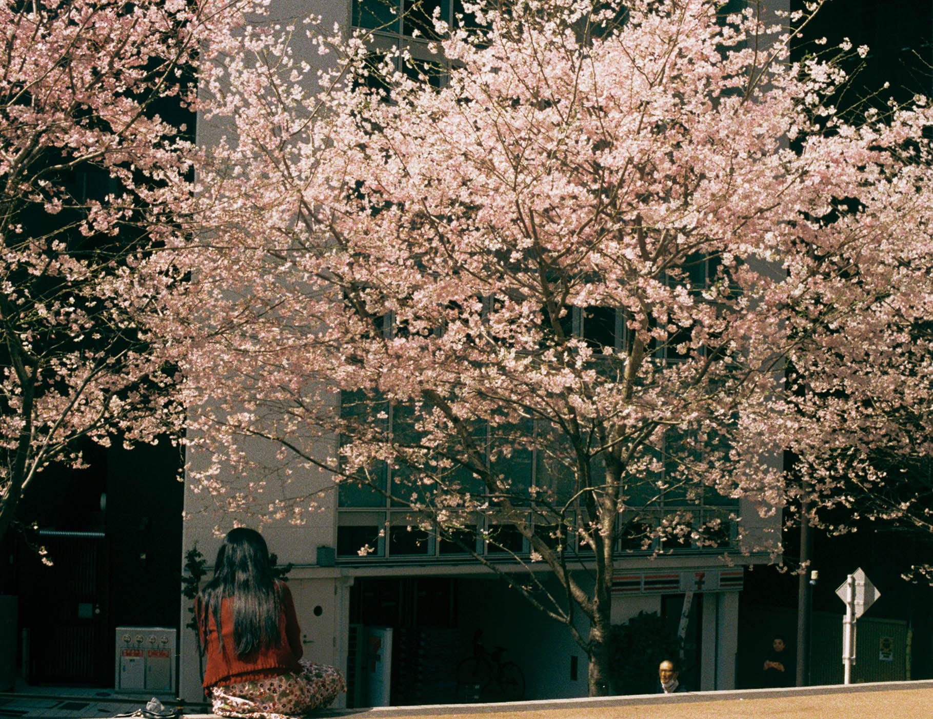 a cinematic view of downtown los angeles 