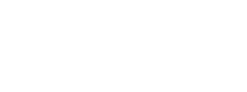 Vorboss logo