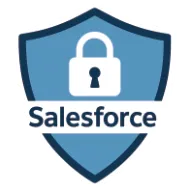 PLACEHOLDER. To be replaced with the Salesforce Shield badge