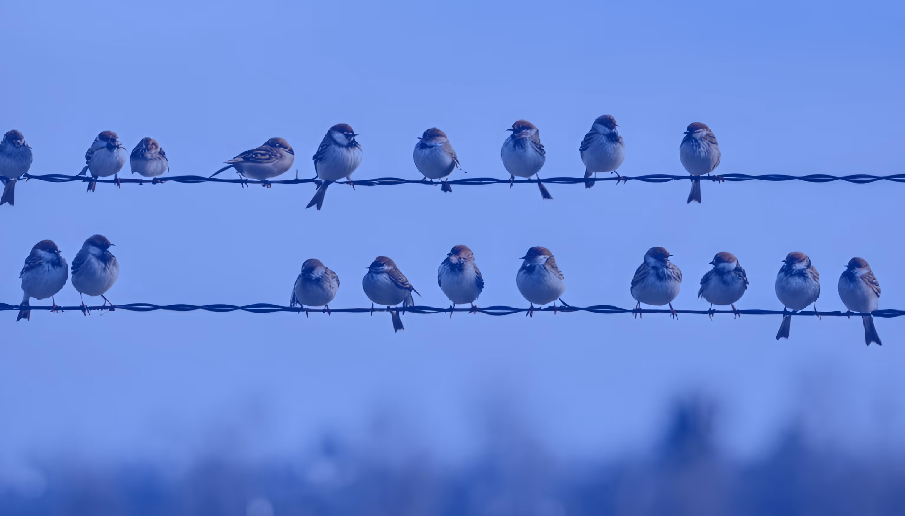 A Rare Bird: The Entrepreneurial Legal Officer
