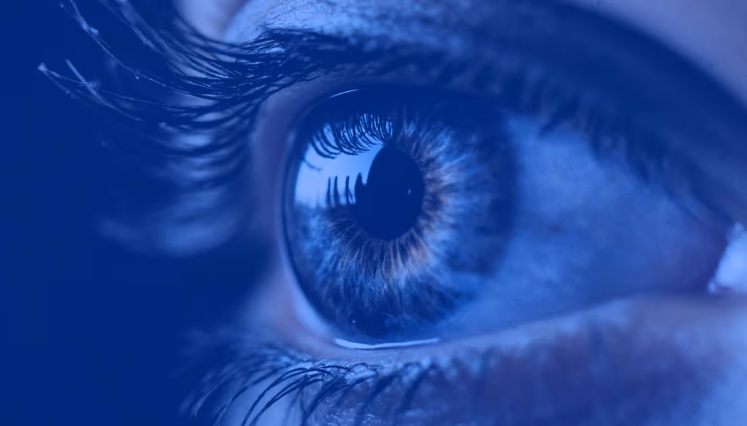 Enhancing the Vision: Life Science Board Recruiting