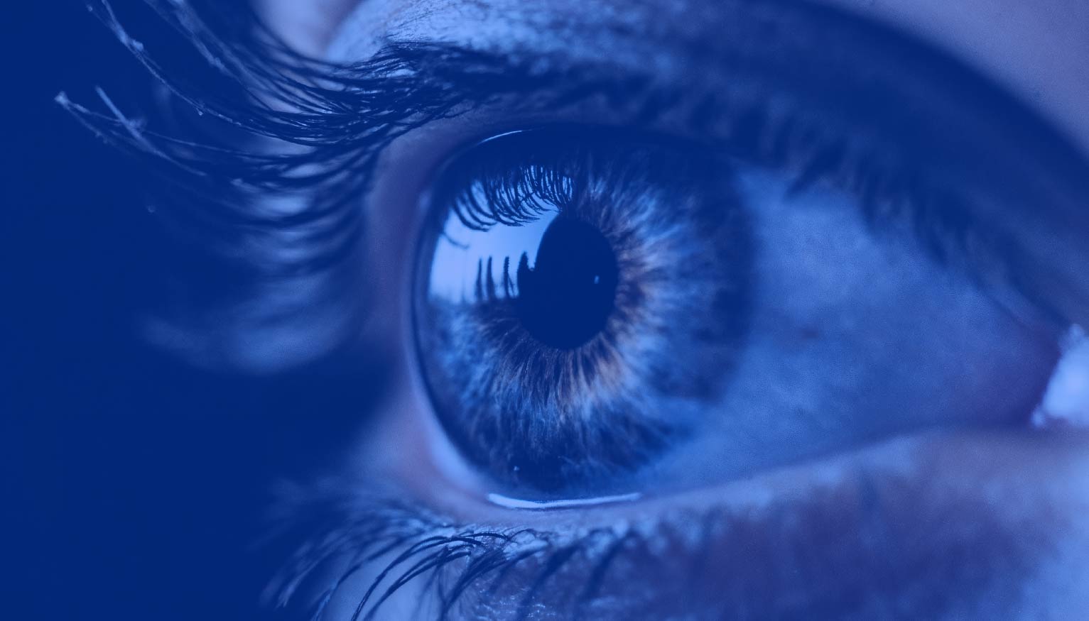 Enhancing the Vision: Life Science Board Recruiting