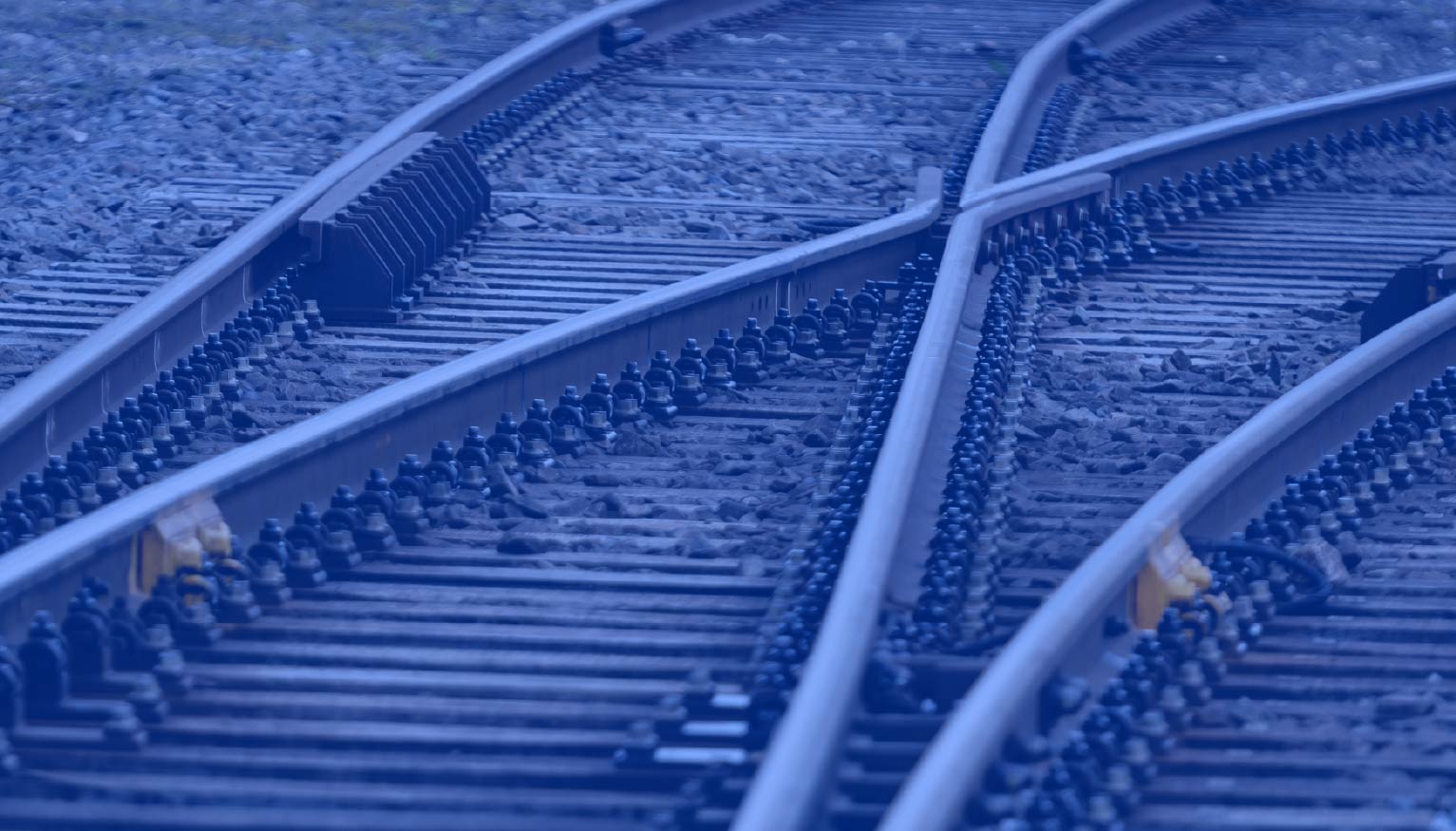 Delightful Ambiguity: Defining Traits of the Ideal Biotech Chief Business Officer