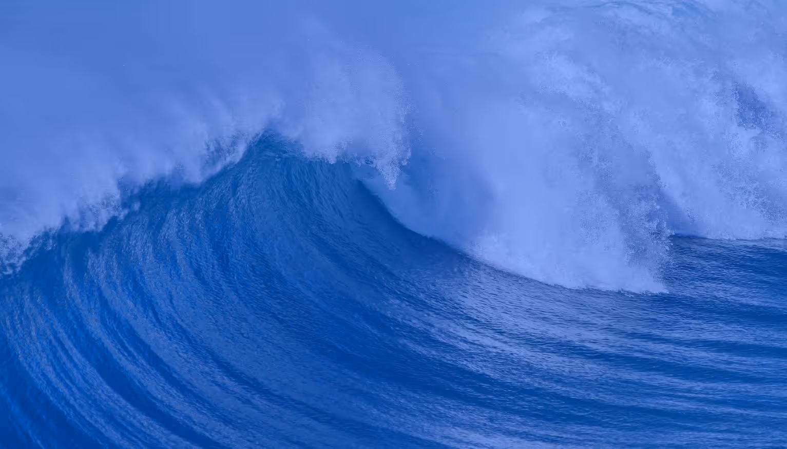JPM 2026 Insights: Is the Company Creation Wave Reaching the Hiring Market?